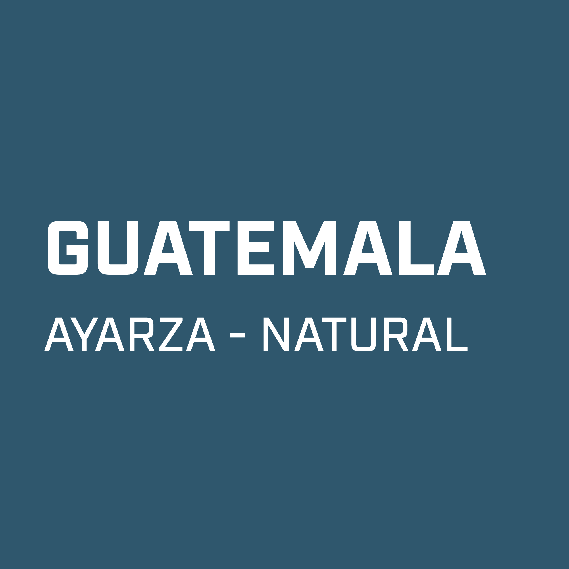 GUATEMALA // AYARZA - WS