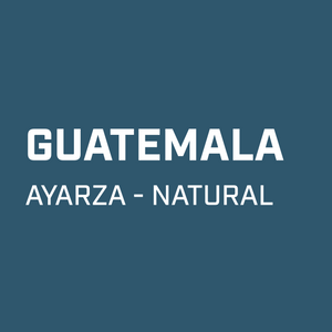 GUATEMALA // AYARZA - WS