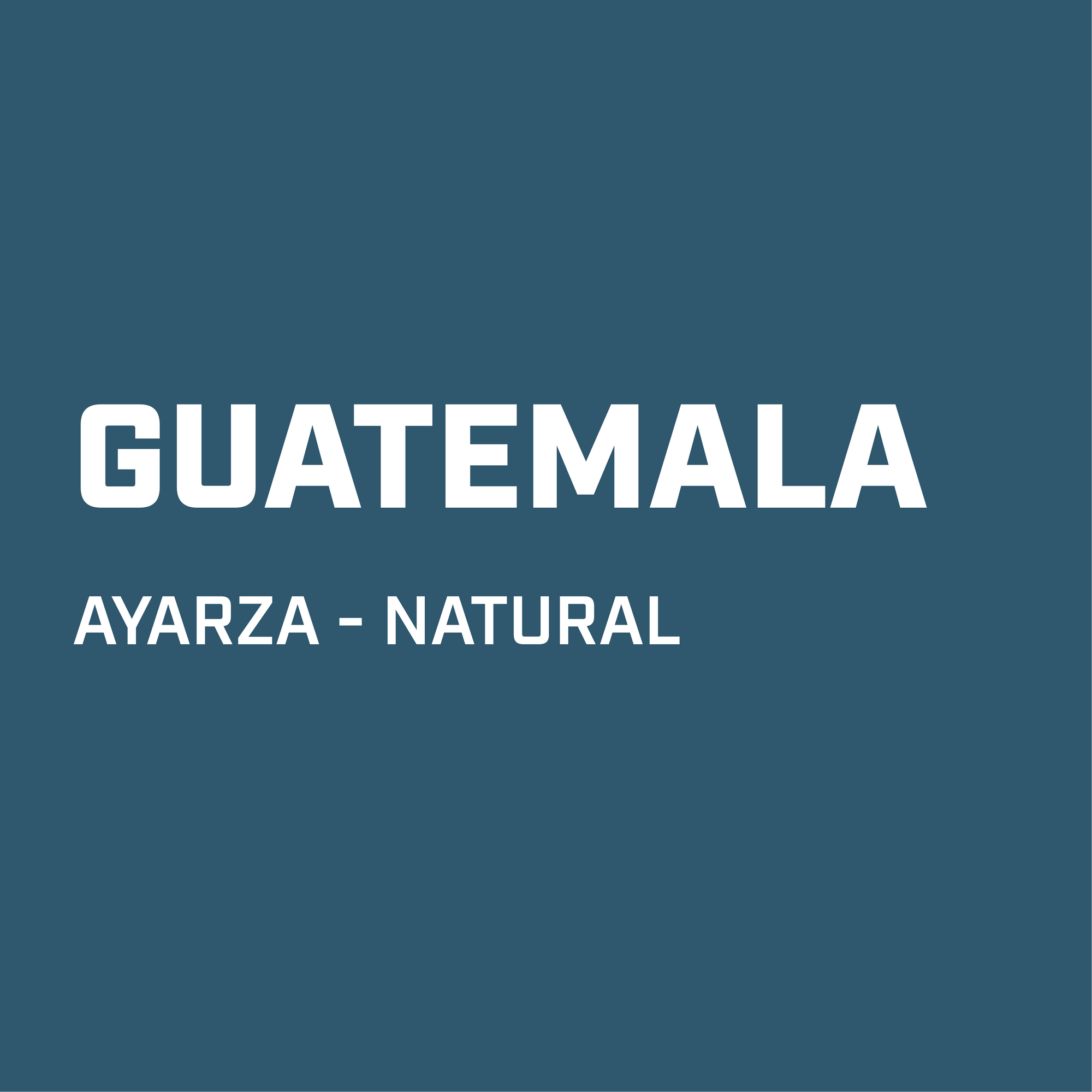 GUATEMALA // AYARZA
